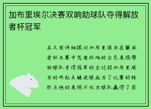 加布里埃尔决赛双响助球队夺得解放者杯冠军